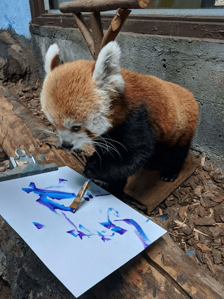 게시글 이미지 1