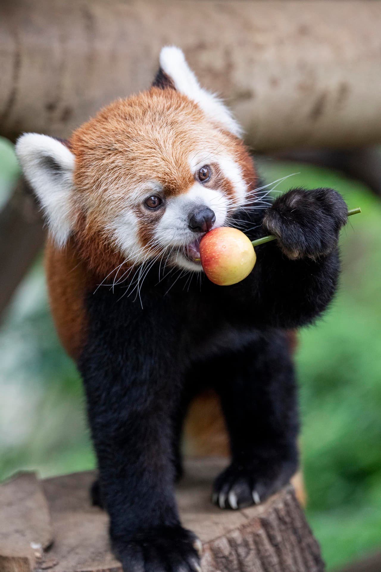 게시글 이미지 1