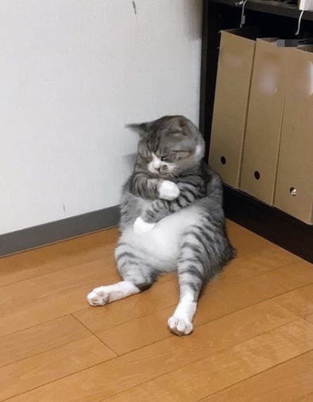 거짓말 졸라 잘하는 피노키오